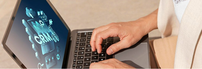 人工微调与确认